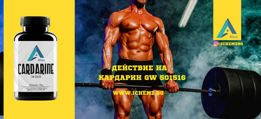 Кардарин GW501516 действие