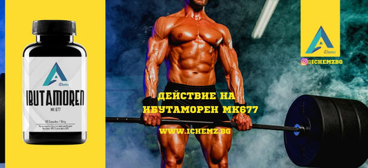 Ибутаморен МК677 действие