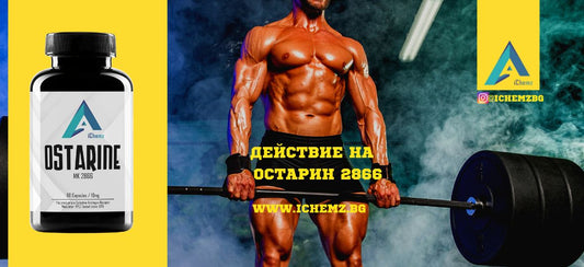 Как действа Остарин МК2866?