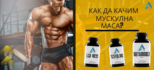 Десет съвета за натрупване на мускулна маса